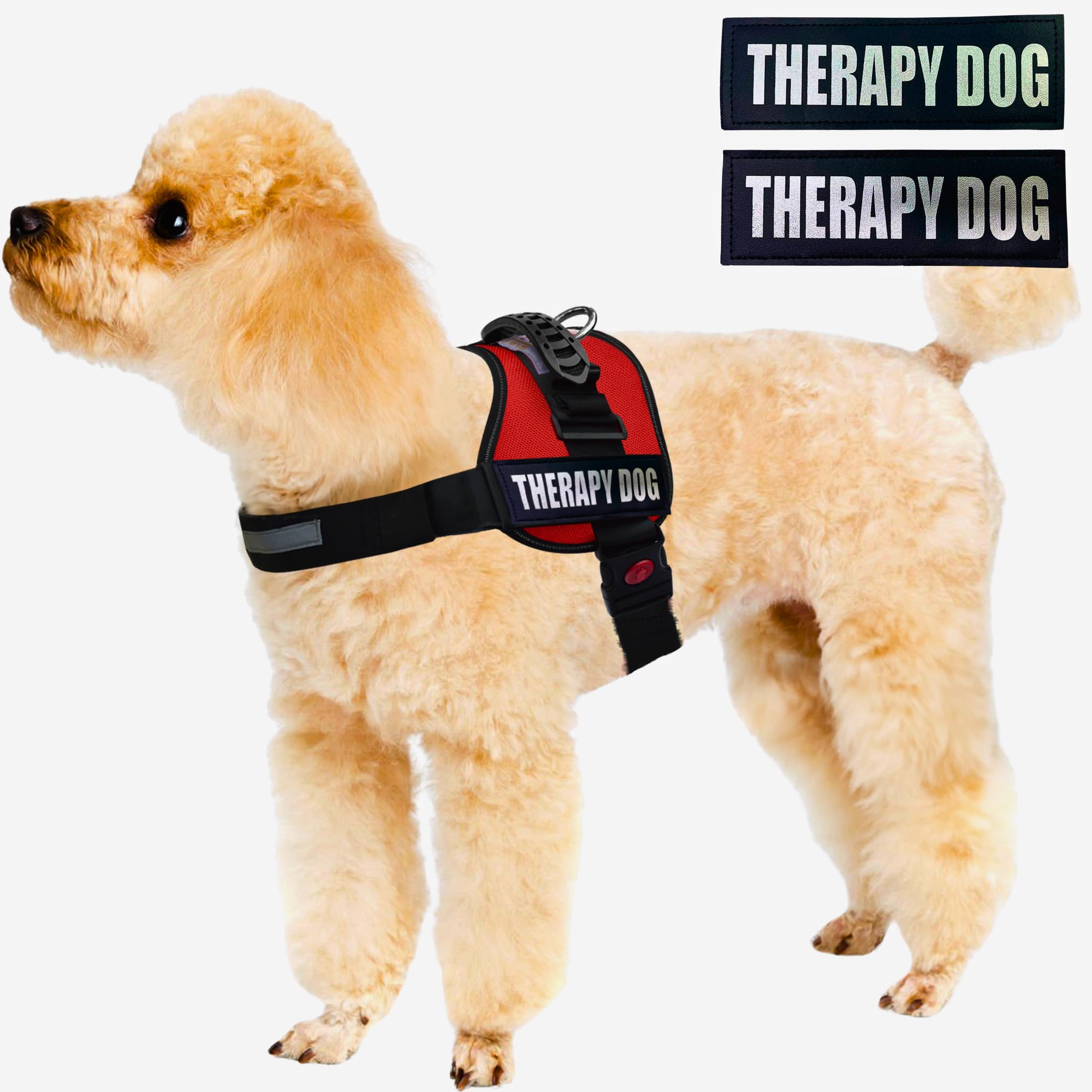 Albcorp Reflective Therapy Dog Vest Harness, Woven Nylon, Adjustable Service Animal Jacket, With 2 Hook And Loop Therapy Dog Rem